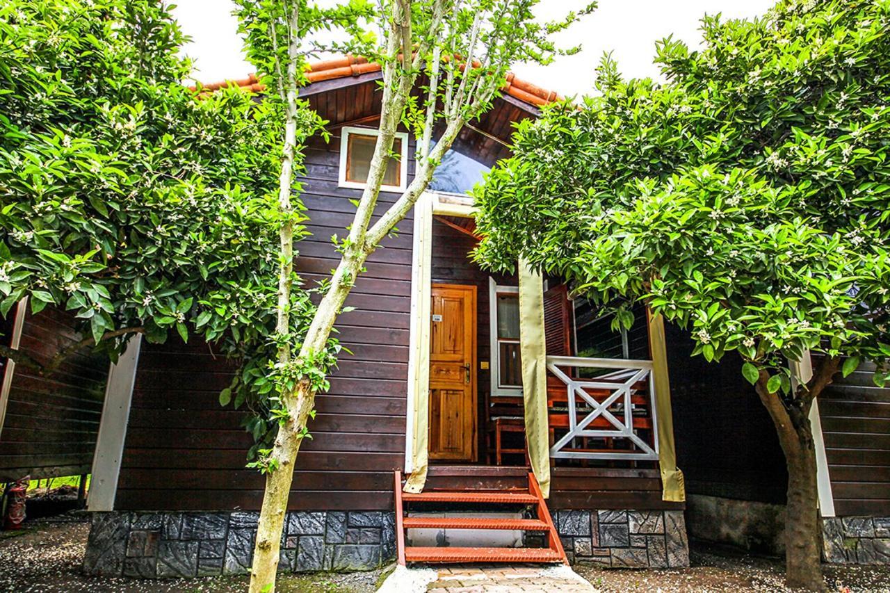 Three Islands Bungalow Cirali Exterior photo